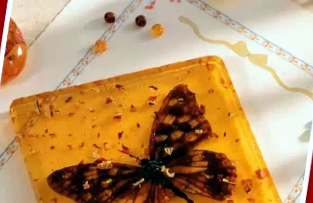 Amber butterfly specimen block